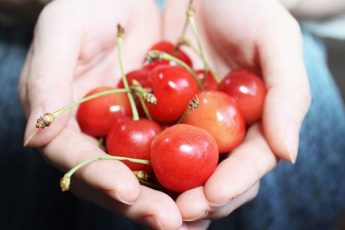 red cherries